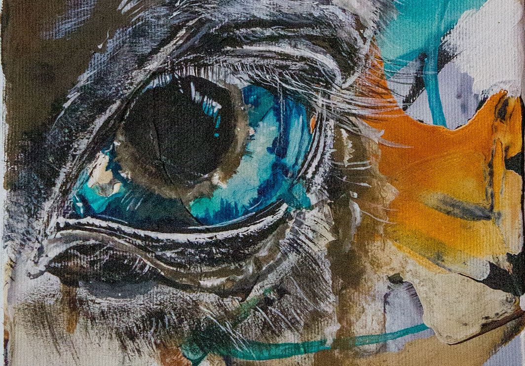 auge1